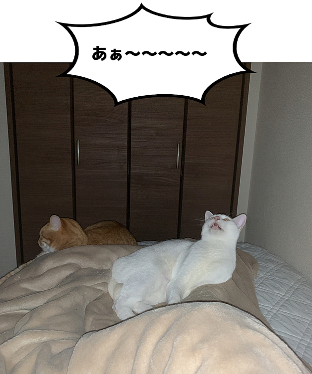 ライオンキングになったつもり。