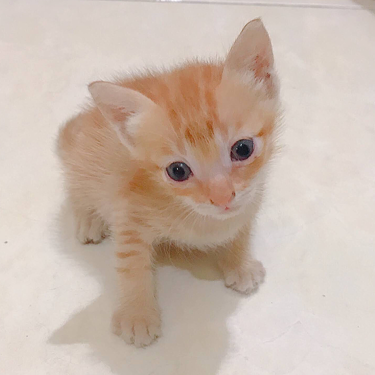 ちっこい♥️