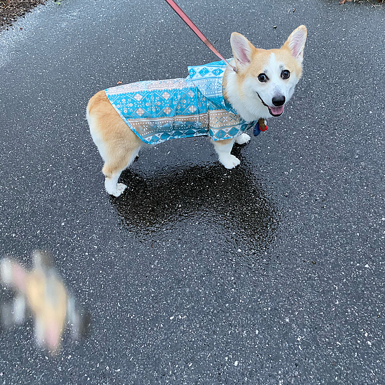今は丁度良いサイズになったよ〜ってか小さいかも（笑）