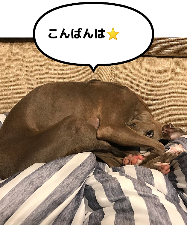 わたくし2歳になりました💝