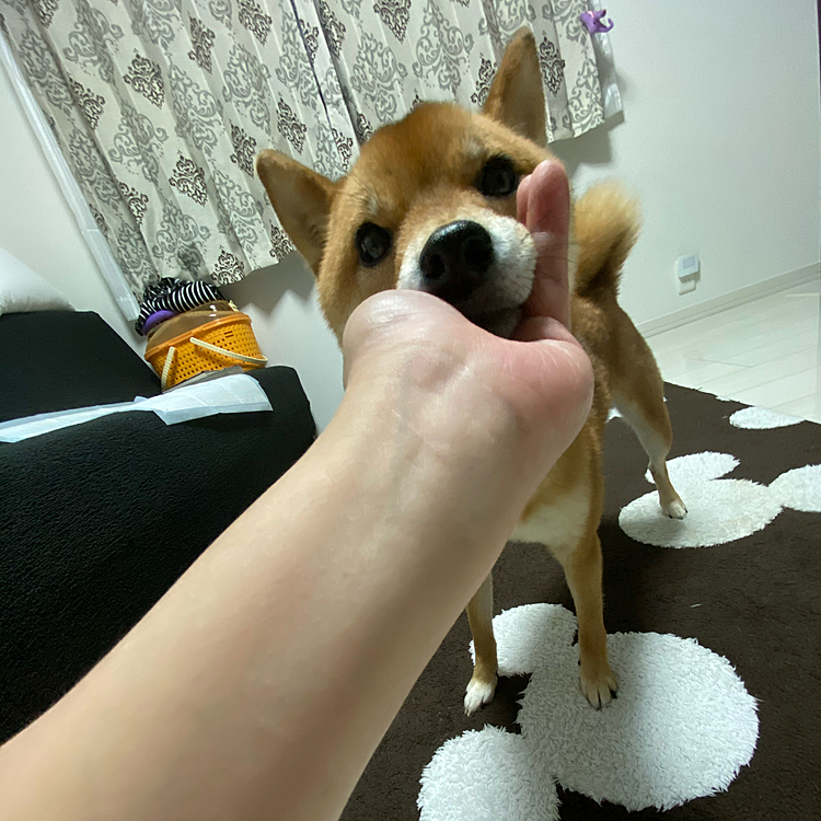 ママー