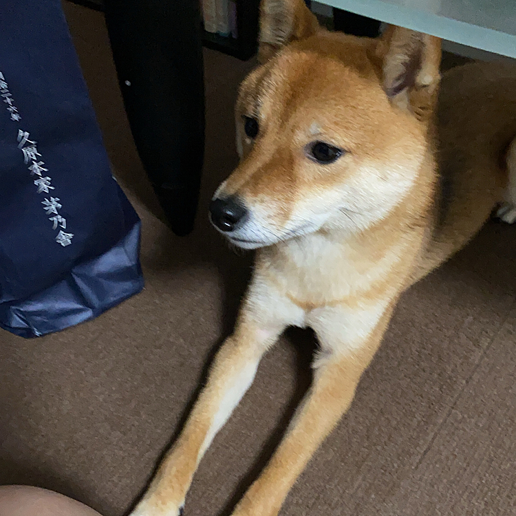 妨害楽し🎶