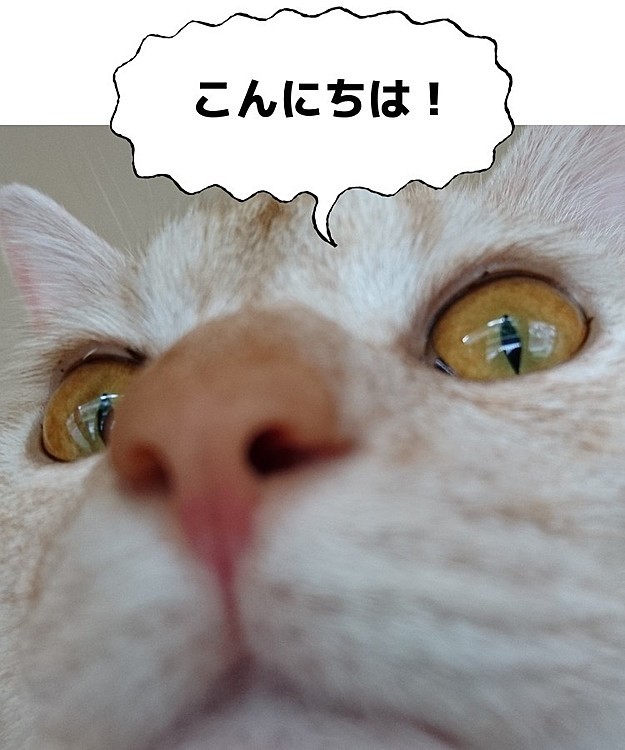 ドアップです(´・ω・`)