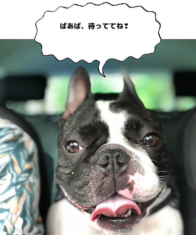 今日はお届け物があってばあば（私の母）のところに行って来ました😀
クルマでのお出掛けにご機嫌です😁