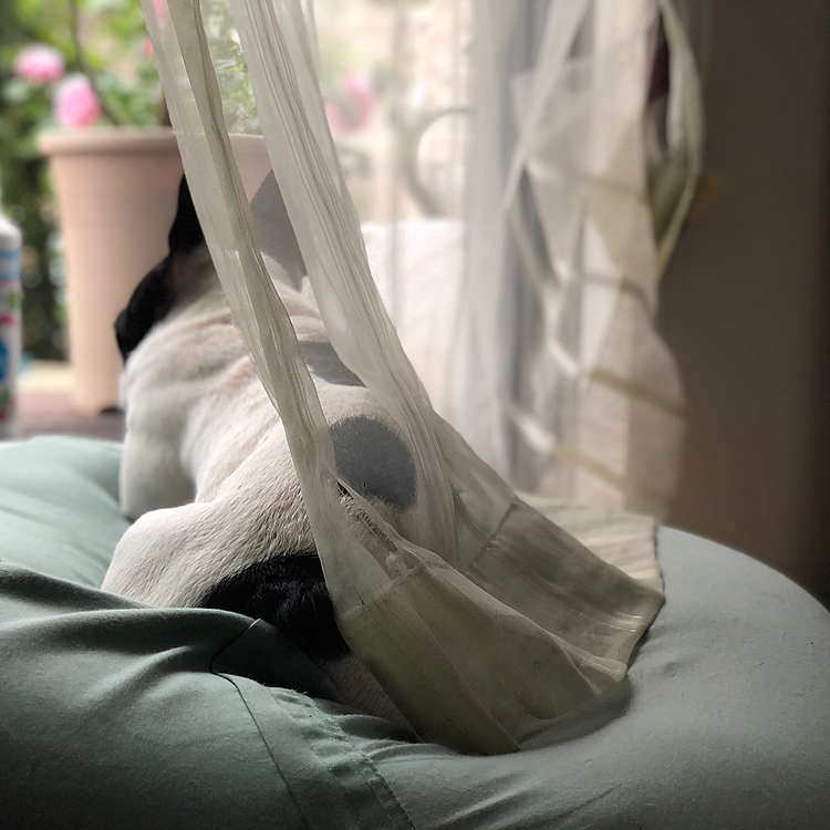 外を眺める後ろ姿に哀愁があります😅