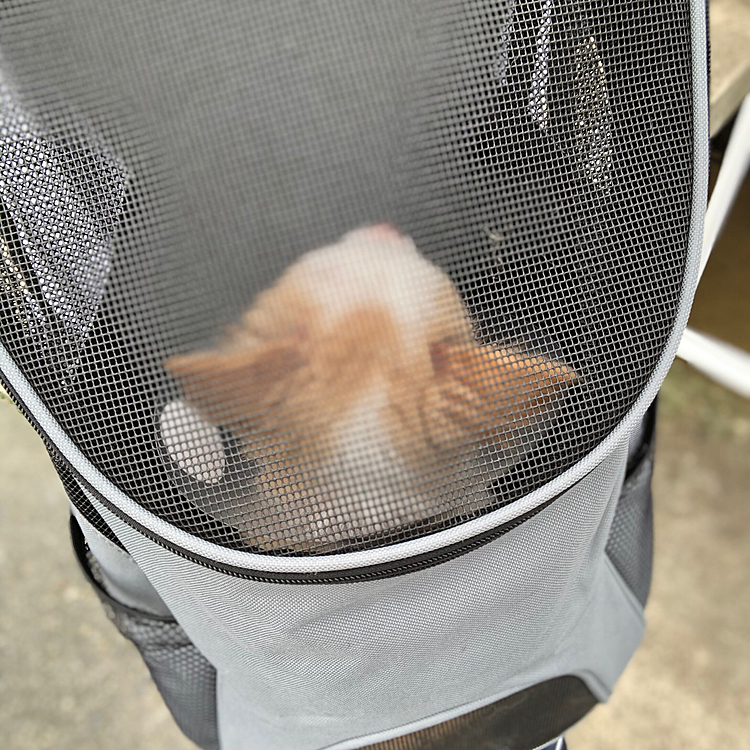 小春もリュックで同伴出勤してきたよ✨