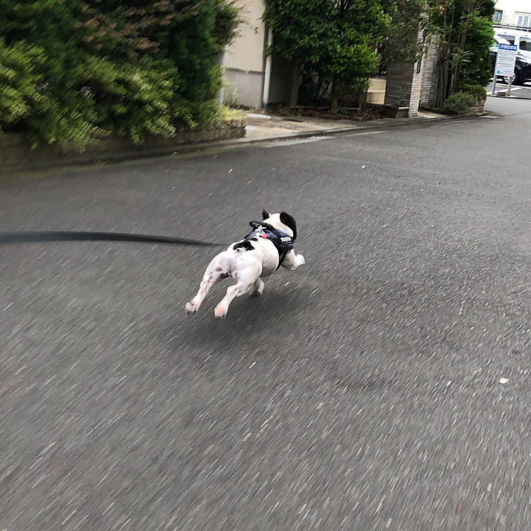 今日の帰りはトゥ❣️ 😁
