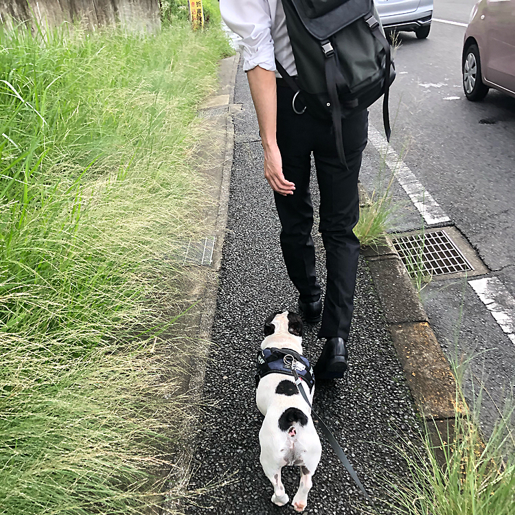今日は駅に向かう次男と一緒に家を出て朝散歩です😀