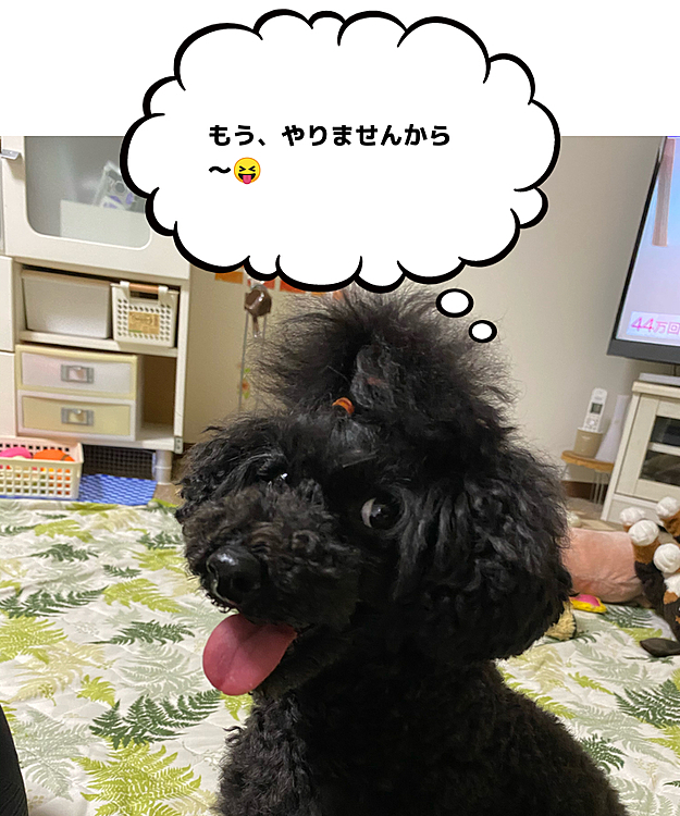 あれかな？これかな？思う所はたくさんあるよ‼️
