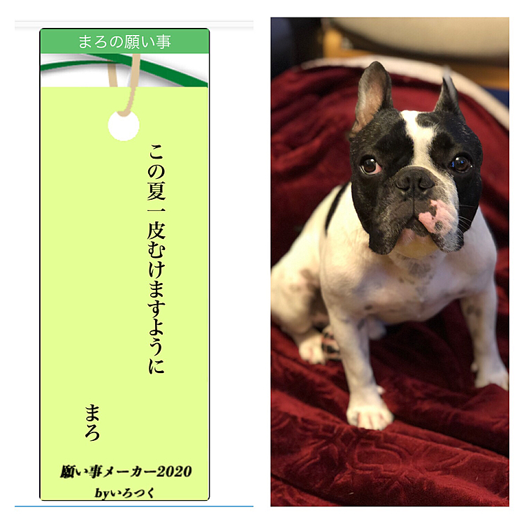 まろも、やってみました😀
一皮むけられるかなぁ❓😆