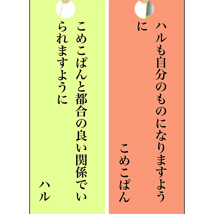 ハルちゃん！？！？！？
癒しをくれるハルちゃん、ご飯と住処を与える私って事でしょうか…˚‧º·(´ฅωฅ｀)‧º·˚