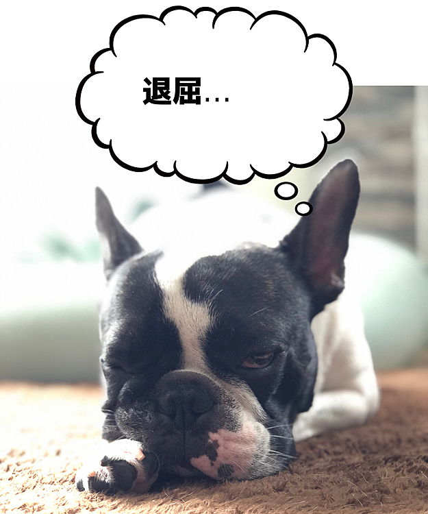 ひたすらダラダラしてます😅