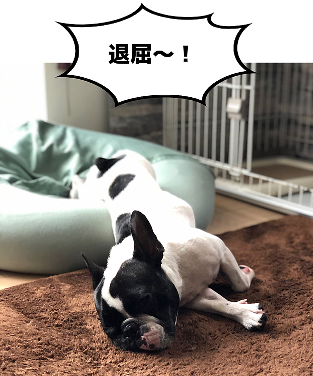 得意のだらけスタイルです😆