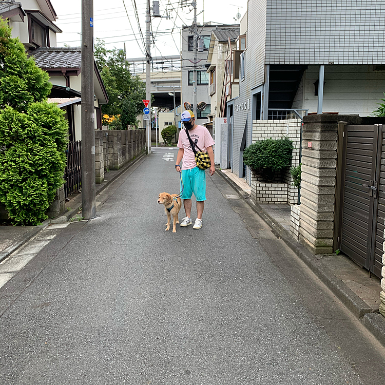 途中から先生のご主人とレンコンくんも来てくれて、楽しくトレーニングできました❣️
慣れてきたら思い出してきて、調子も良くなってきたね👍