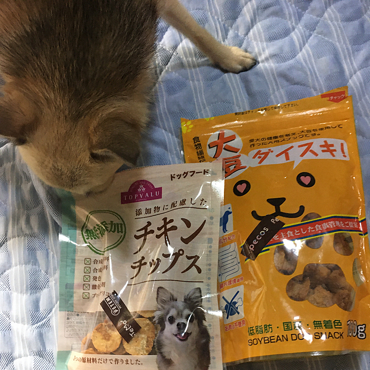 ちなみに買ったのはこれです。
pocoはボーロだと良く食べてくれるんです。今度は、ボーロか柔らかいオヤツにするからね🐶👍
