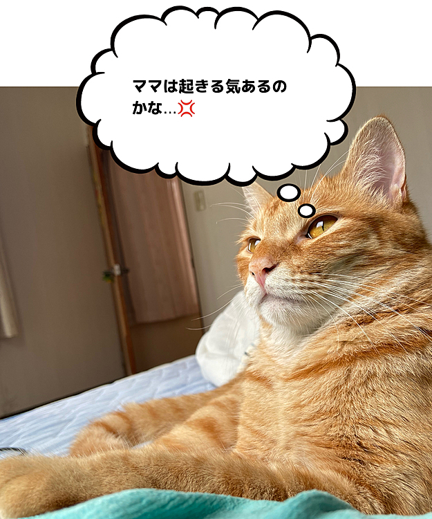 すぅ。の投稿