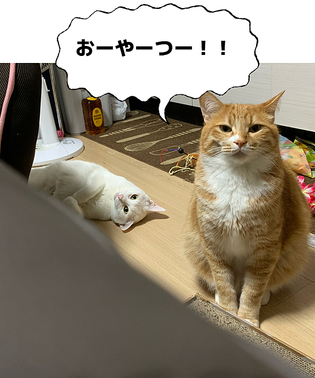 おねだり隊