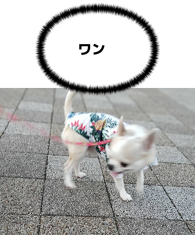 お散歩🚶‍♀️❤️
