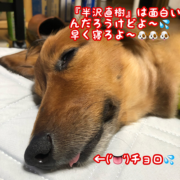 ゴメンよ～🙏💦💦💦
だってやっぱり『半沢直樹』面白いんだもん（人´∀`*）