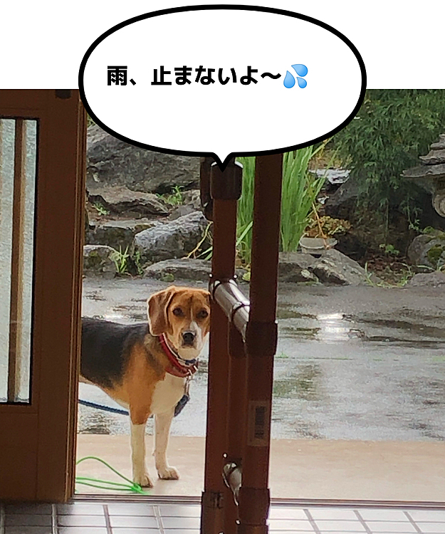 戻って来てこんな表情😌