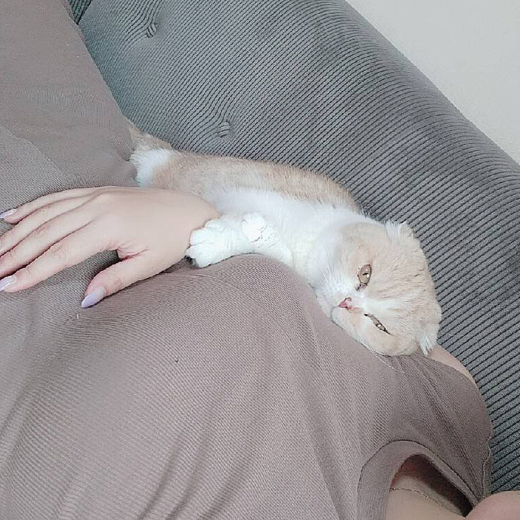 まま上大好き