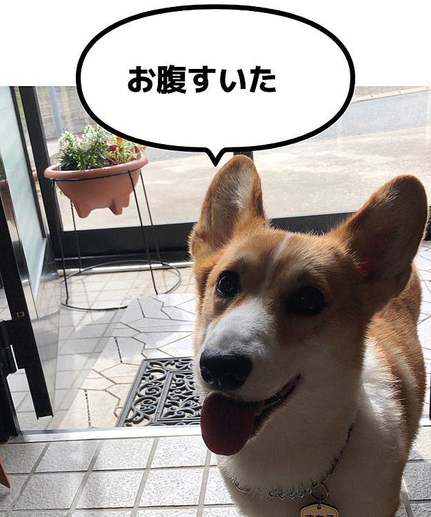 超ご機嫌です😃