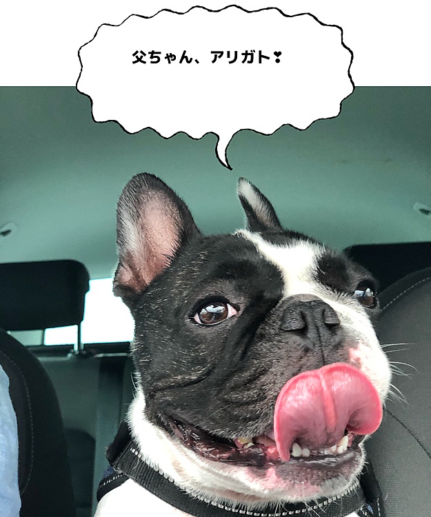 大好きなクルマに乗ってホームセンターに行って来ました😁
