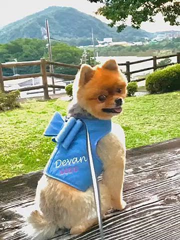 上の続き…
何枚か撮影していただいたなかから、カメラマンさんが選んだ15枚の中から、写真にしたい1枚を選びます…が、どれも良くて選べなぁい😂

でも、ちゃんと選びましたよ☺️
完成は1週間後です❣️
楽しみだなぁ〜❤️

上の写真は今日のもの、初めてのパパ撮影の写真を投稿です🤣