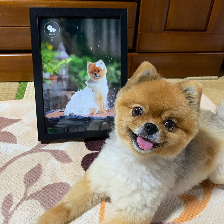 完成した写真と一緒にパチリ🤳
ルルちゃん、いい笑顔だね💕