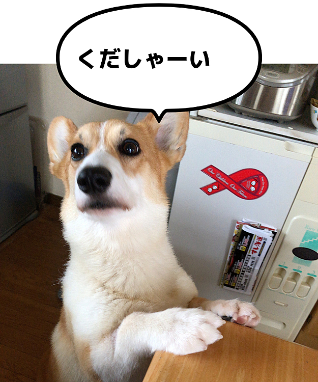 このおメメ攻撃に負けました😃
5つ食べまちた😃