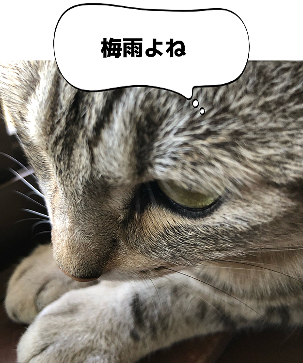 汗まとわりつくのよ
