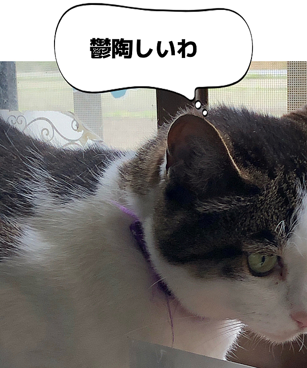 嫌な時期よね