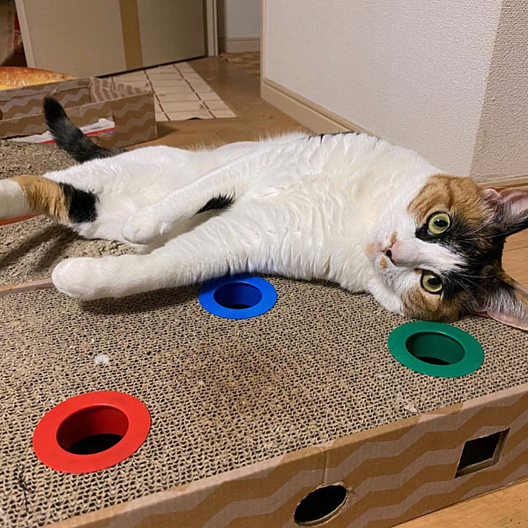 まったり