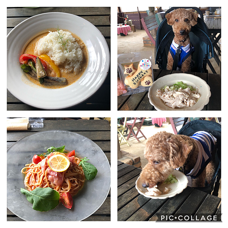 特別に普段よりは少し多めのご飯にしてあげました😃