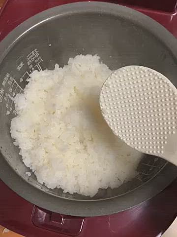 ご飯が炊き上がり、ほかほかのご飯を混ぜていると…
すかさず足元にやって来て、何も言われなくてもお座りして待ってます🤣
もう当たり前のように、貰えるものだと思ってます🤣
ご飯を食べた後なので、少しだけね🤏