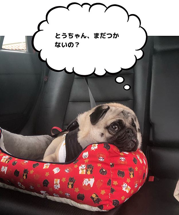 1時間ちょっとのドライブです🚗