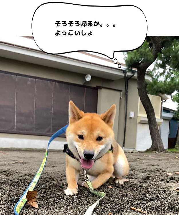 帰りたくなくて少しの間動かず困りました😅
