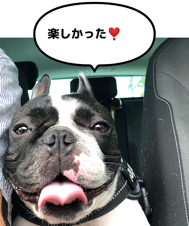 帰りのクルマの中はガハガハでした😆