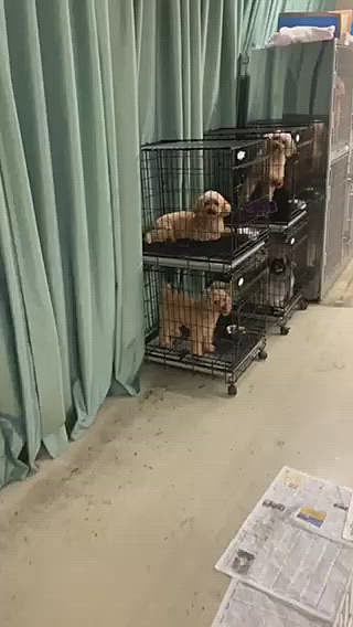 再会シーン💕