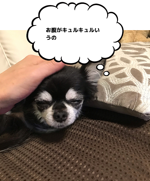 こんにちは😃
昨日、ひながいつもの腹痛💦
朝から病院行って来ました😆
