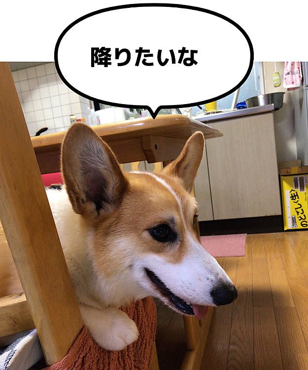 あれ？下ろしてくれない。。🌀
何で？
この時点でお仕置きだと気づき始める🌀