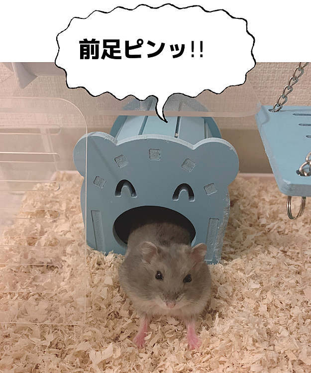 ᴺᴬᵀˢᵁᴷᴼ‎‪𓍯 ‬の投稿