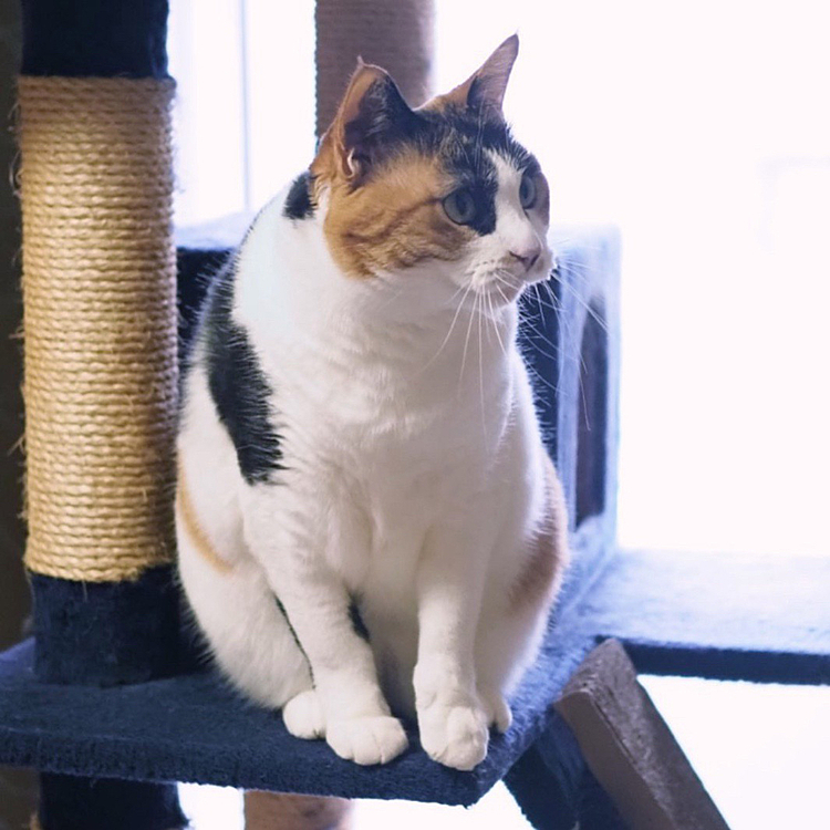 虫さんにロックオン