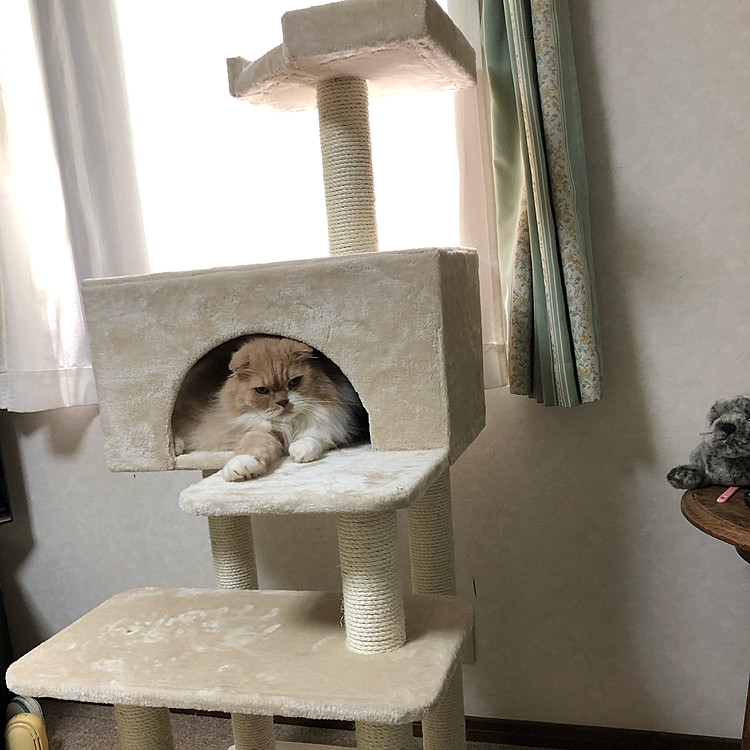 夏なのに、其処がいいの？