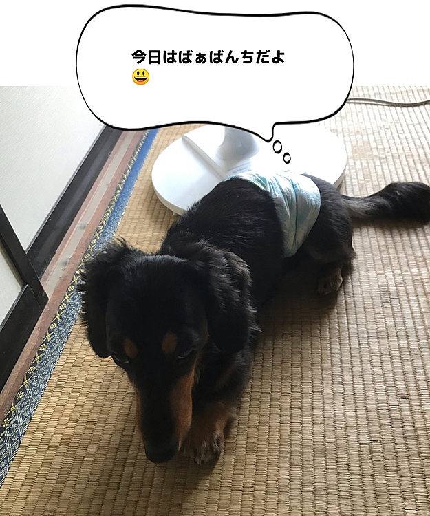 ラブホーかーさんの投稿