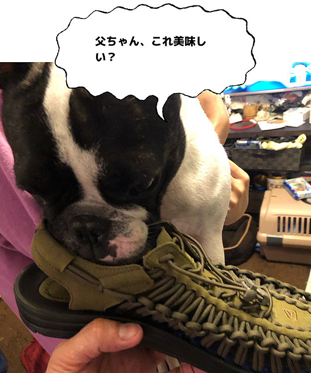 まろも興味津々です😅