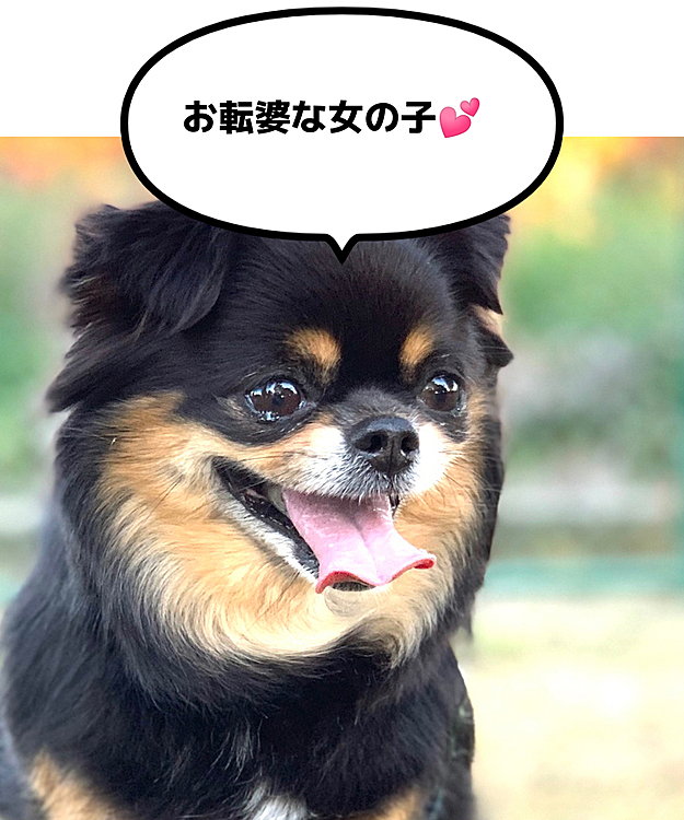 オーナー1539の投稿