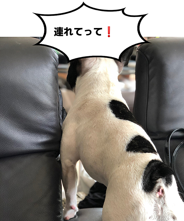 ソファの間からこんな感じで娘に声を掛けてます😆
