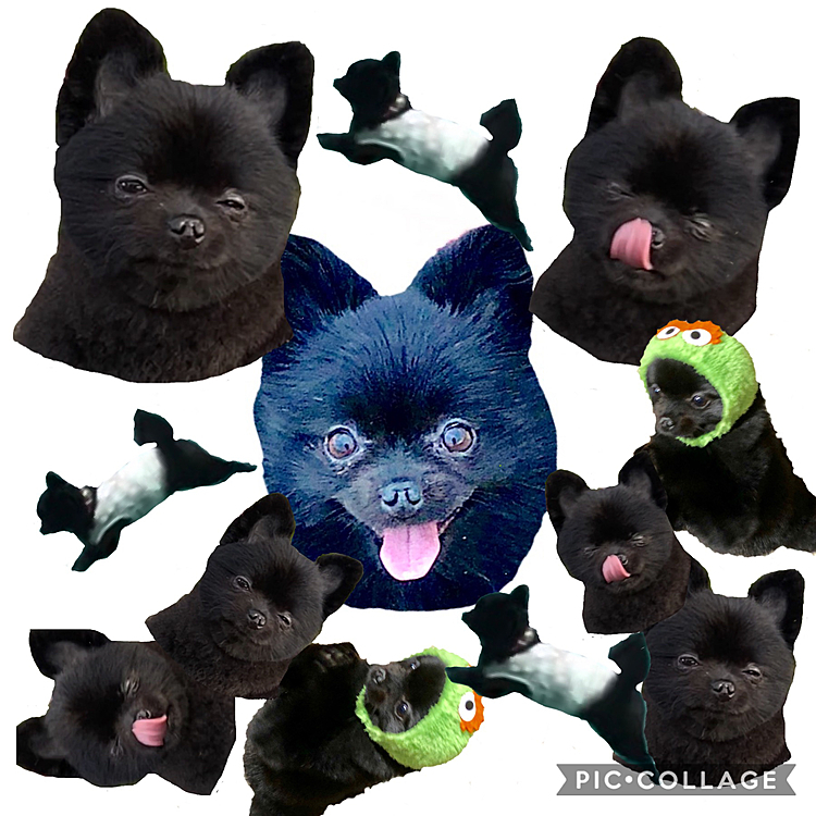 まみれさせてみました(暇つぶし)