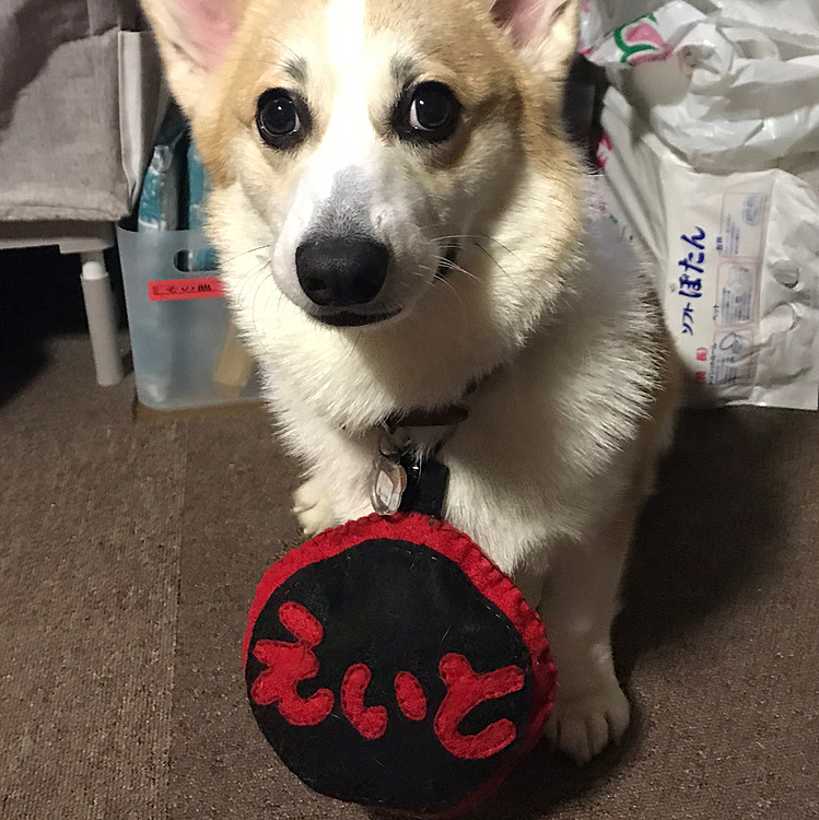 初めてママが作ってくれたけど大き過ぎだよ〜🤣
